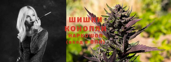 эйфоретик Шали
